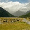 NZ Arthurs Pass 1039